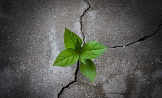 Resilience in a Time of Uncertainty